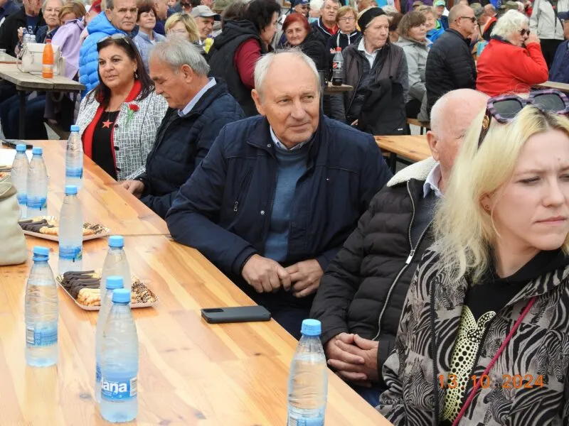 Povzava k prispevku: Dobrnič